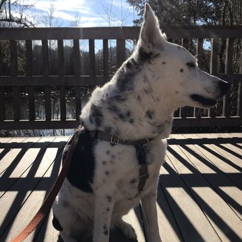 Happy Valley Park - Dog Parks Near Me - Happy Valley, Oregon Happy Valley Park - Dog Parks Near Me - Happy Valley, Oregon