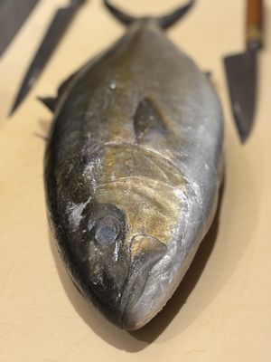 Sushi Tadokoro by null