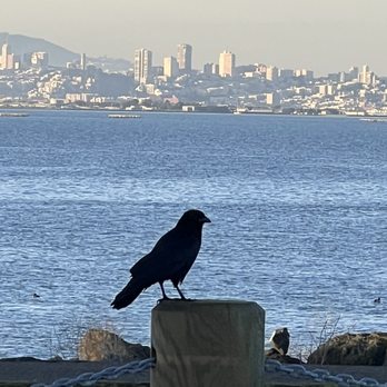 DoubleTree by Hilton - Berkeley - A new friend with a great view - Hotels Near Me - Berkeley, California DoubleTree by Hilton - Berkeley - A new friend with a great view - Hotels Near Me - Berkeley, California