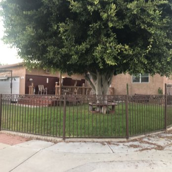 Passion for Pitties - Looks safe to me - Pet Adoption Near Me