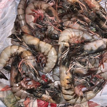 Westwego Shrimp Lot - a bunch of shrimp - Seafood Markets Near Me - Westwego, Louisiana Westwego Shrimp Lot - a bunch of shrimp - Seafood Markets Near Me - Westwego, Louisiana