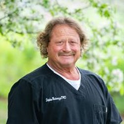 Stephen J. Matarazzo, D.M.D - Dr. Matarazzo