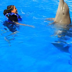 Lit Adventures - Swimming with dolphins