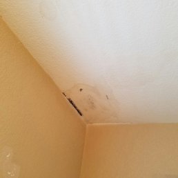 WHY would you say that this is ready for someone to move in to when clearly it is NOT. WHY would you say that this is ready for someone to move in to when clearly it is NOT.
