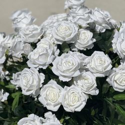 Omega Secret Garden