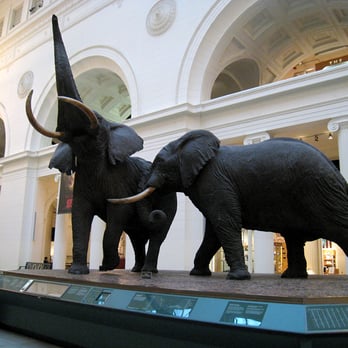 Field Museum - Museums Near Me - Chicago, Illinois Field Museum - Museums Near Me - Chicago, Illinois