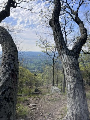 Kennesaw Mountain National Battlefield Park by null