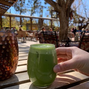 ChocolaTree - $10 matcha - Vegetarian Near Me - Sedona, Arizona ChocolaTree - $10 matcha - Vegetarian Near Me - Sedona, Arizona