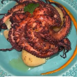 Octopus