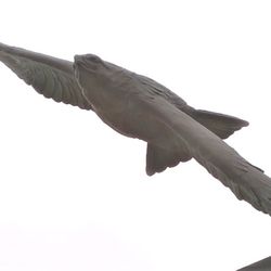 Golden Eagle - The Golden Eagle by Dan Ostermiller (1989)
