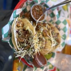 Tia Juanitas Fish Camp - Gator Tacos