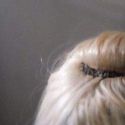 Carol's Hair & Beauty Supply - Gina's work