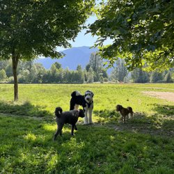 Three Forks Dog Park
