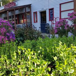 Hankins Hardware True Value - A view of our front door from the garden (Summertime)