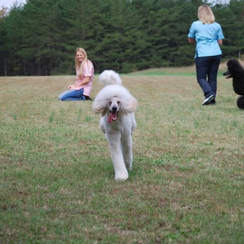Kristi's Fancy K-9s - Fun outdoors - Pet Groomers Near Me - Gilbert, South Carolina Kristi's Fancy K-9s - Fun outdoors - Pet Groomers Near Me - Gilbert, South Carolina