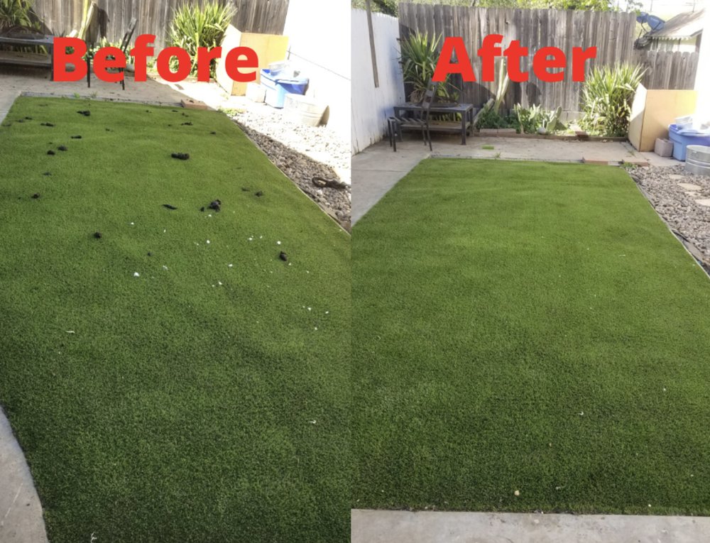 POOP SCOOPIN’ BOOGIE Kalispell, Montana Pet Services Phone Number