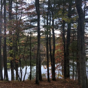 Mansfield Hollow State Park - Lake view from the trail - Parks Near Me - Mansfield, Connecticut