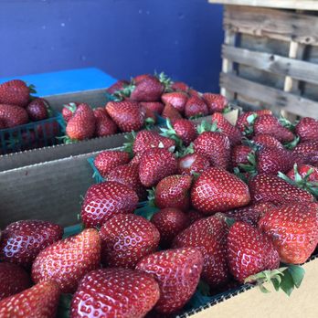 Bock's Fruit - Strawberries :) - Fruits & Veggies Near Me - Marysville, California