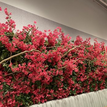 Darna Mediterranean Eatery - Decor - Mediterranean Near Me - Plano, Texas