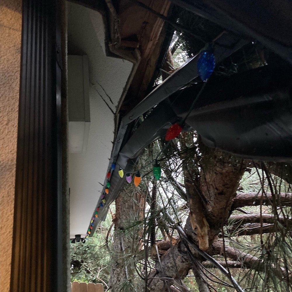 Caliarbor - Tree Services Near Me Caliarbor - Tree Services Near Me