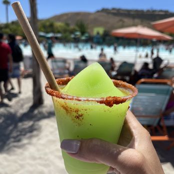 Aquatica San Diego Closed 313 Photos 486 Reviews Water Parks 52 Entertainment Cir Chula Vista Ca Phone Number