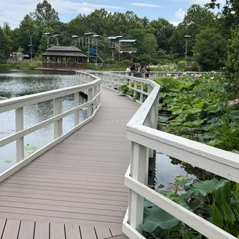 Creation Museum - Bridge over pond - Museums Near Me - Petersburg, Kentucky