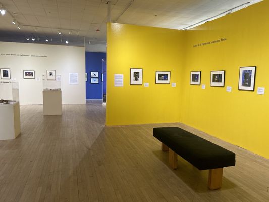 El Museo Latino by null