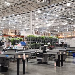 Costco - Giant ferns