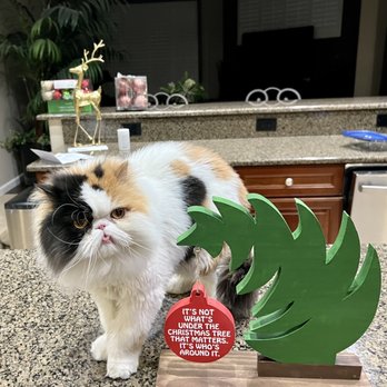 She’s Crafty - Darbi and Pepper approve! - Arts & Crafts Near Me - Glendale, Arizona