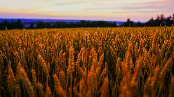 Kiyosato Ihatov Hostel by null