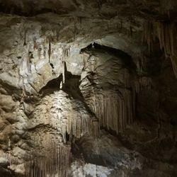 Jenolan Caves