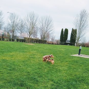 Hondo Dog Park - Hondo Small Dog Park - Water spigot visible on right side of pic - Dog Parks Near Me - Hillsboro, Oregon Hondo Dog Park - Hondo Small Dog Park - Water spigot visible on right side of pic - Dog Parks Near Me - Hillsboro, Oregon