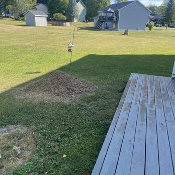 5D Stump and Tree - Tree Services Near Me - Parish, New York