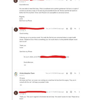 Hinde Animal Rescue Team - Part 1 of email thread following up on Bob's health - Animal Shelters Near Me Hinde Animal Rescue Team - Part 1 of email thread following up on Bob's health - Animal Shelters Near Me
