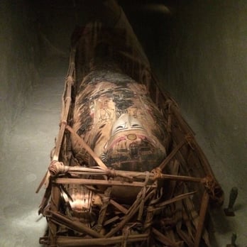 Field Museum - Museums Near Me - Chicago, Illinois Field Museum - Museums Near Me - Chicago, Illinois