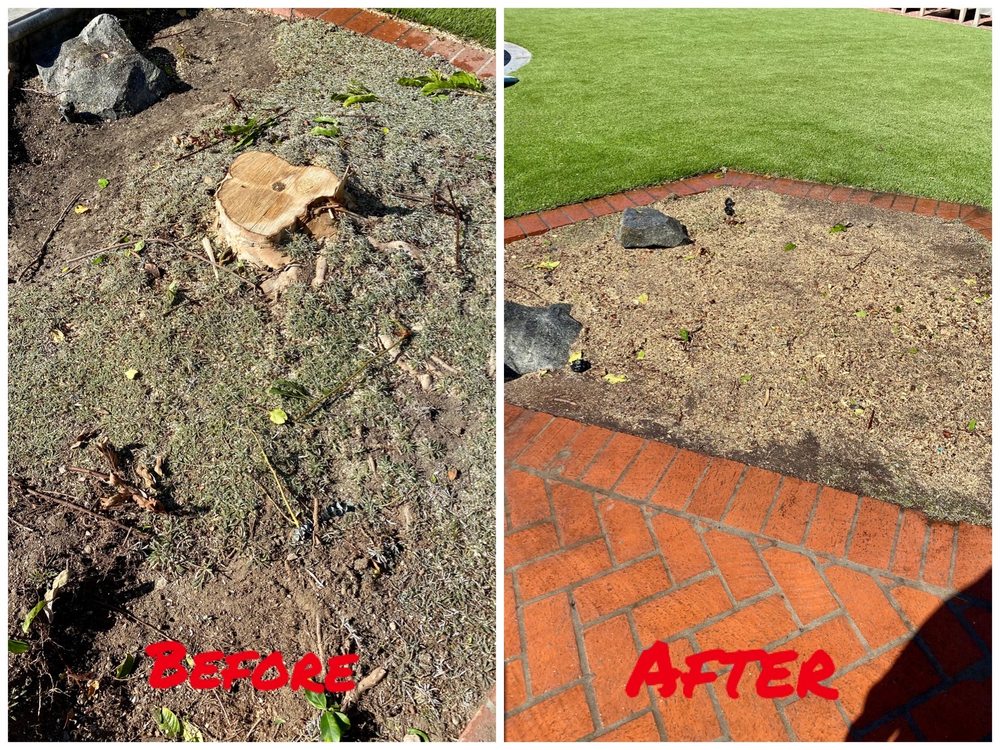 GREENFIELD TREE CARE Updated October 2024 39 Photos Los Angeles