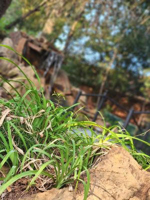 Castle Falls by null