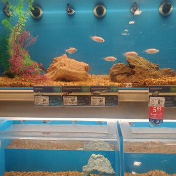 PetSmart - Fish tank - Pet Training Near Me - Hiram, Georgia