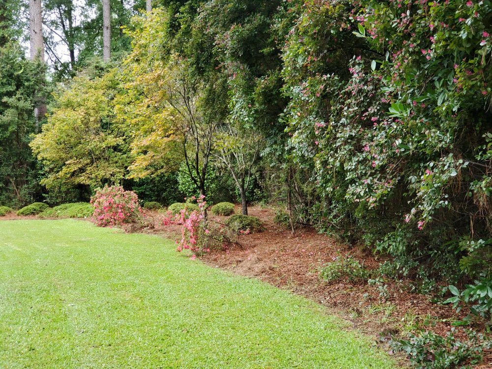 LUMBERJACK LAWN SERVICES Updated September 2024 3315 Limber Twig Ln