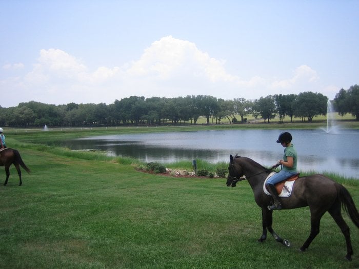 Continental Acres Equine Resort, Weirsdale Roadtrippers
