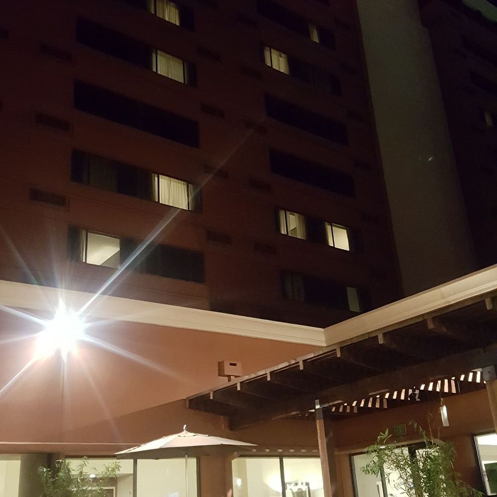 Hilton Concord - Inner Courtyard Contemporary Firepits - Hotels Near Me - Concord, California Hilton Concord - Inner Courtyard Contemporary Firepits - Hotels Near Me - Concord, California