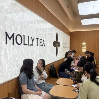 Molly Tea - Bubble Tea Near Me - Bellevue, Washington