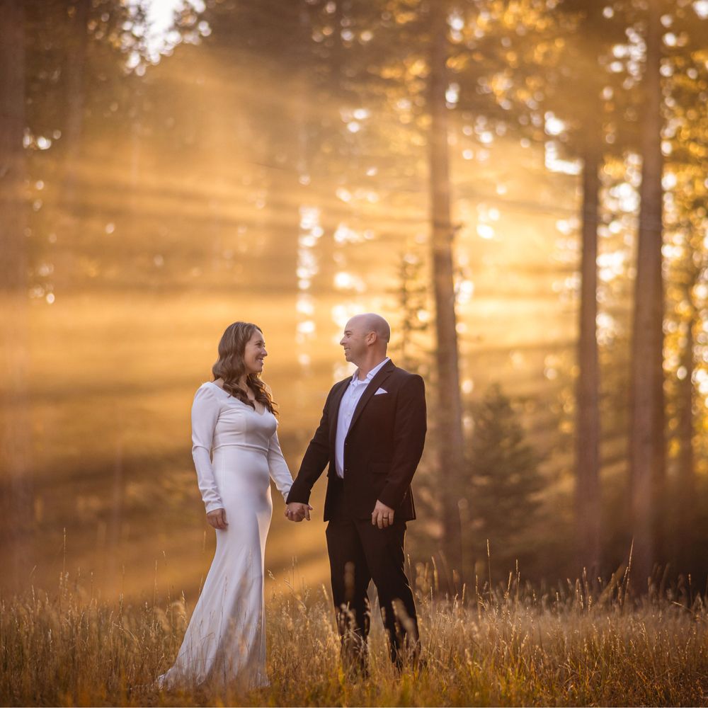 Voiceover for Bee Movie Scenes, image size:1000x1000