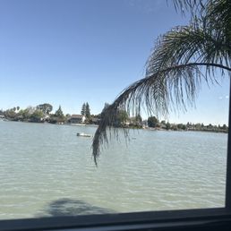 The view