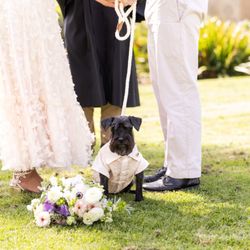 Sarita Relis Photography - Our best dog :) Photo: Sarita Relis Photography