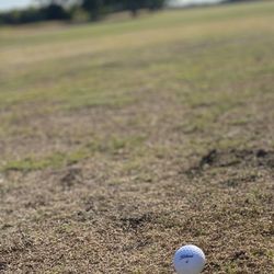 Tanglewood Resort Golf - Tee box