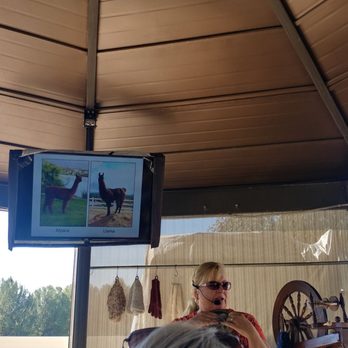 The Alpaca Hacienda - Attraction Farms Near Me - Temecula, California