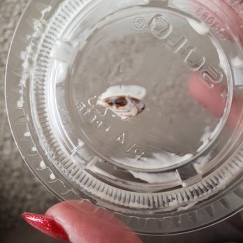 Cotton Patch Cafe - Roach on top of lid. - American Near Me - Cedar Hill, Texas
