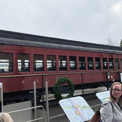 Skunk Train