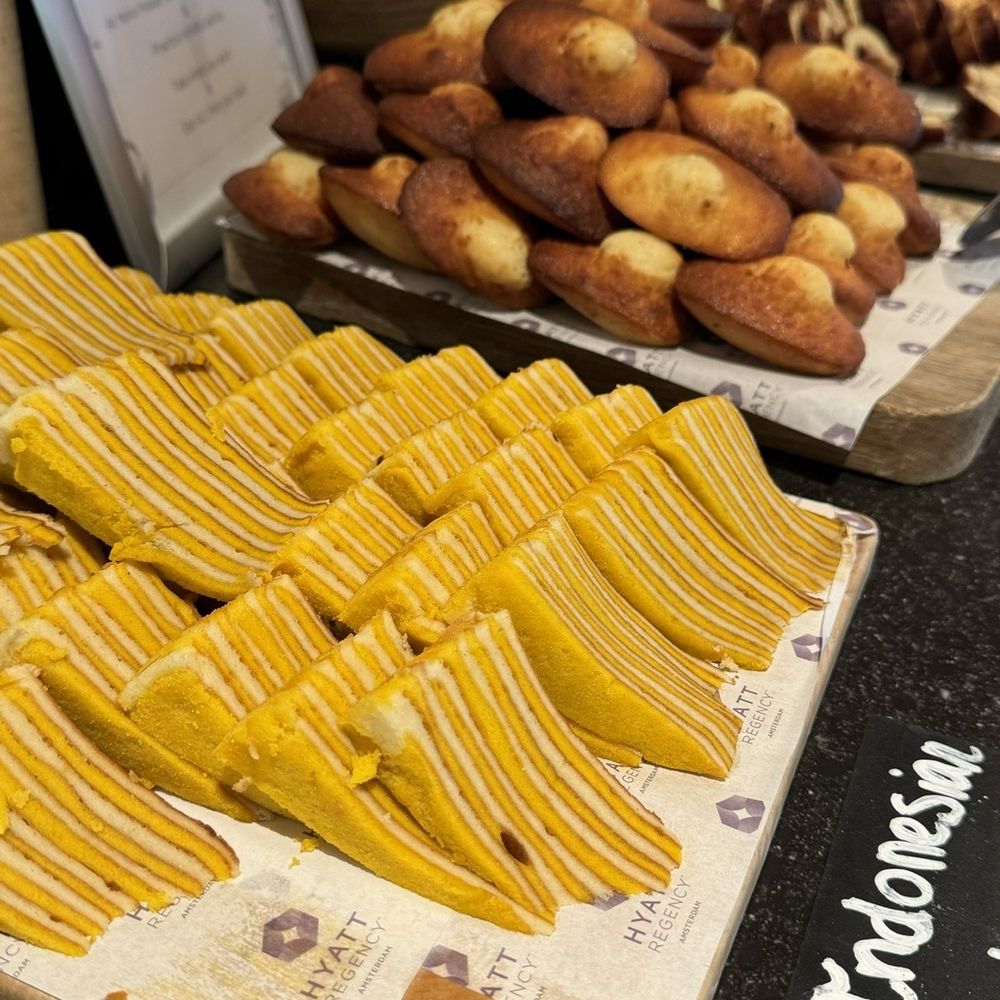 Hyatt Regency Amsterdam - Indonesian cakes and madeleines - Hotels Near Me - Amsterdam, New Hampshire Hyatt Regency Amsterdam - Indonesian cakes and madeleines - Hotels Near Me - Amsterdam, New Hampshire